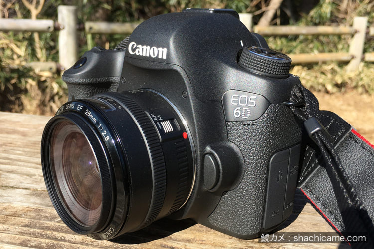 Canon EOS 6D | 鯱カメ