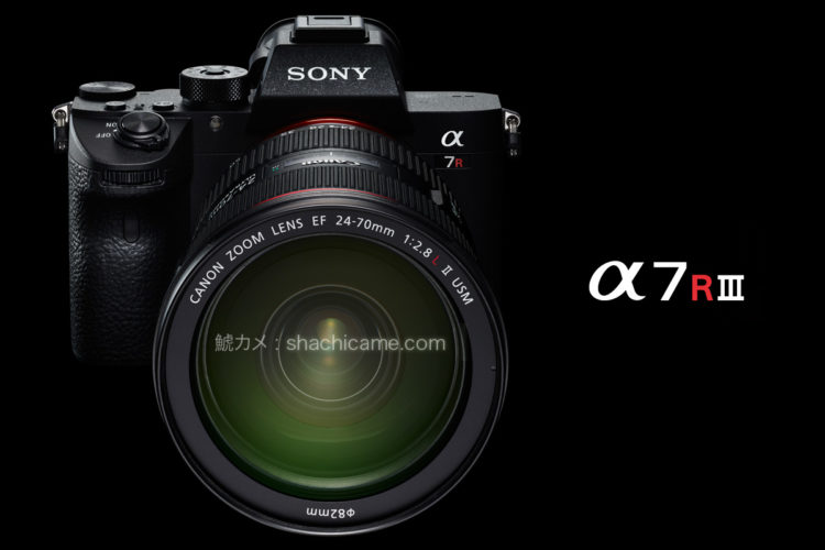 Sony α7R III （ILCE-7RM3) + SIGMA MC-11 + Canon EF24-70mm F2.8L II USM（非公式）
