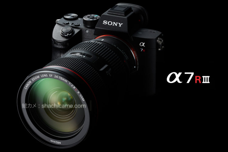 Sony α7R III （ILCE-7RM3) + SIGMA MC-11 + Canon EF24-70mm F2.8L II USM（非公式）