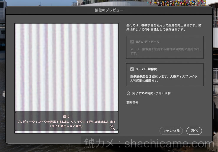 Adobe Camera RAW 強化 スーパー解像度 05